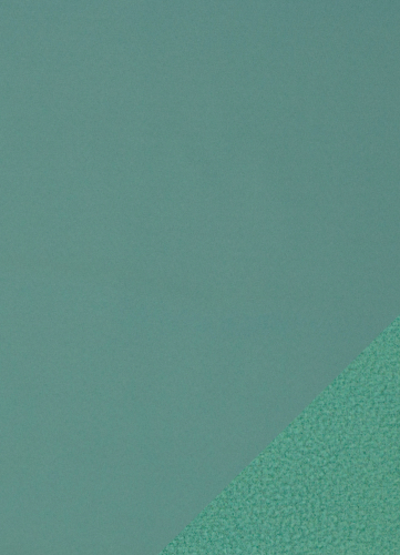 Softshell - Uni - smaragd - gefüttert